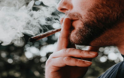 13 Ways to Get Rid of Marijuana Smell (Odor Removal Guide)