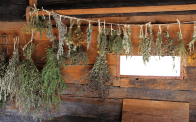 6 Tips to Dry and Cure Cannabis Like A Pro (Ultimate Guide)