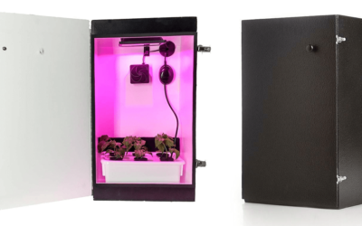 7 Best Automated Grow Boxes for Beginners (Smell Proof)
